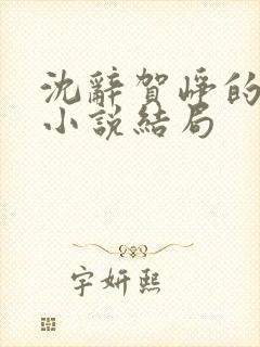 沈辞贺峥的军婚小说结局封面