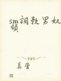 sm调教男奴视频封面