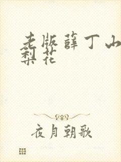 老版薛丁山与樊梨花