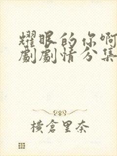 耀眼的你啊电视剧剧情分集介绍