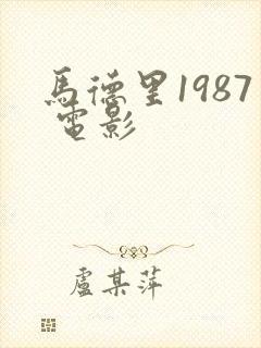 马德里1987 电影封面