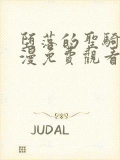 堕落的圣骑士动漫免费观看