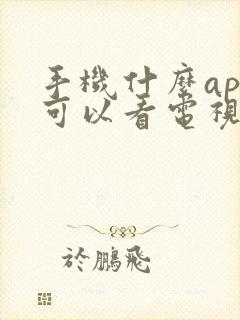 手机什么app可以看电视频道