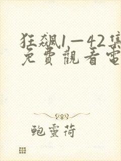 狂飙1—42集免费观看电视剧