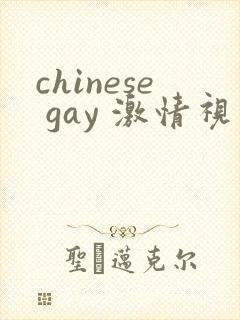 chinese gay 激情视频