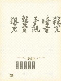 狙击手暗杀电影免费观看完整版