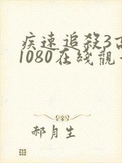 疾速追杀3高清1080在线观看