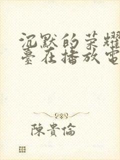 沉默的荣耀哪个台在播放电视剧