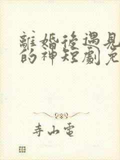 离婚后遇见心软的神短剧免费观看