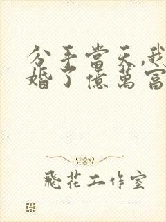 分手当天,我闪婚了亿万富豪有声小说完整