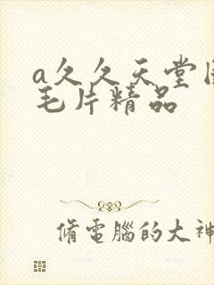 a久久天堂国产毛片精品封面