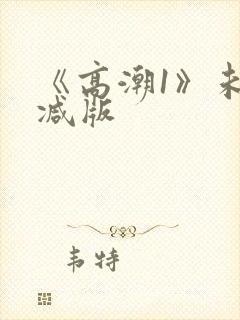 《高潮1》未删减版封面