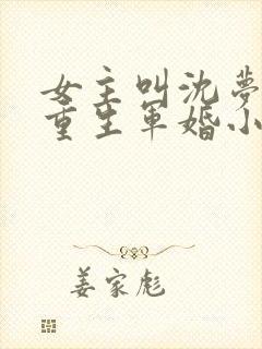 女主叫沈梦瑶的重生军婚小说