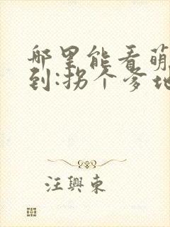 哪里能看萌宝驾到:拐个爹地送妈咪封面