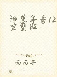 神墓年番12集完整版