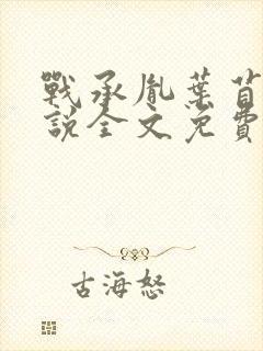 战承胤叶苜苜小说全文免费阅读