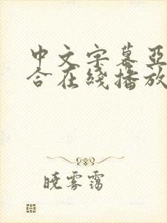 中文字幕亚洲综合在线播放封面