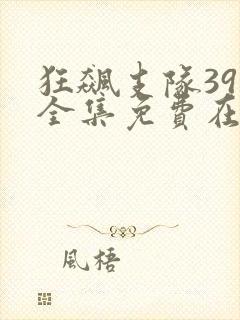 狂飙支队39集全集免费在线观看