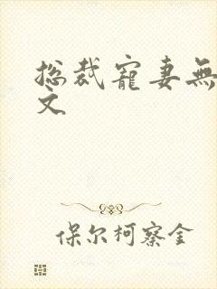 总裁宠妻无度全文