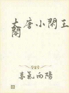 大唐小闲王笔趣阁