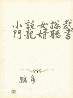 小说女总裁的上门龙婿听书免费全集封面