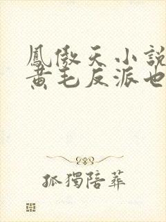 凤傲天小说里的黄毛反派也想幸福小说下载