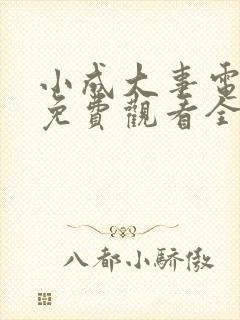 小成大事电视剧免费观看全集高清