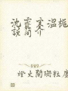 沈霁寒温栀妍小说简介封面