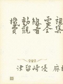 机动组电视剧免费观看全集高清