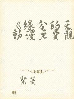 《缘分的天空》动漫免费观看