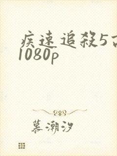 疾速追杀5高清1080p