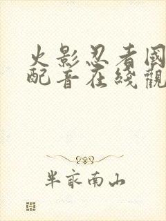 火影忍者国语版配音在线观看