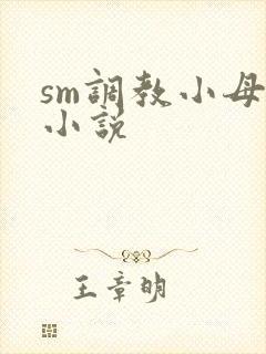 sm调教小母狗小说