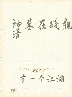 神墓在线观看高清