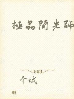 极品开光师