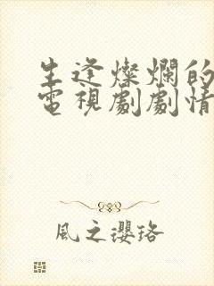 生逢灿烂的日子电视剧剧情介绍封面