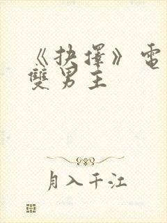 《抉择》电视剧双男主