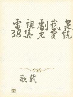 电视剧我是刑警38集免费观看