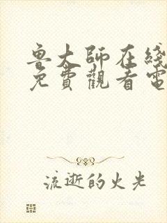 鲁大师在线播放免费观看电视剧最新