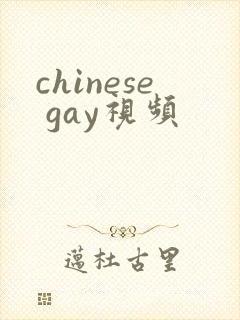 chinese gay视频封面