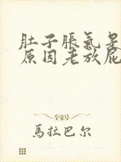 肚子胀气是什么原因老放屁