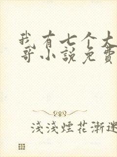 我有七个大佬哥哥小说免费阅读无弹窗封面