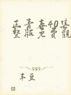 正青春40集完整版免费观看