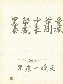 黑帮少爷爱上我泰剧未删减