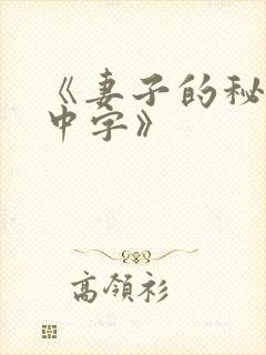 《妻子的秘密3中字》