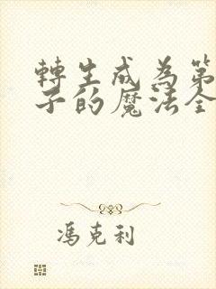 转生成为第七王子的魔法全解