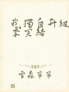 我独自升级第三季完结封面