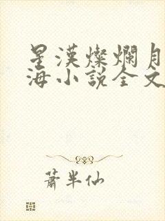 星汉灿烂月升沧海小说全文免费阅读封面