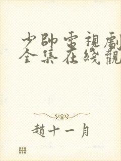 少帅电视剧免费全集在线观看封面