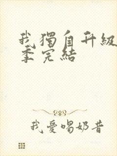 我独自升级第三季完结